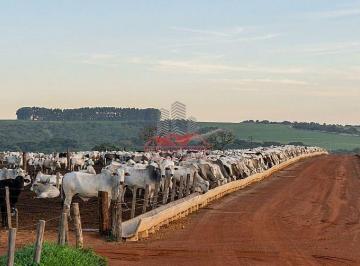 Estrutura completa de confinamento montada e em operação para até 4.000 cabeças de boi. · Fazenda à Venda em Paranatinga MT | 20.650 ha Dupla Aptidão