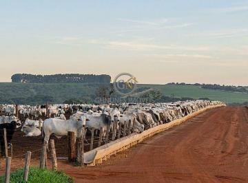 Estrutura completa de confinamento montada e em operação para até 4.000 cabeças de boi. · Fazenda à Venda em Paranatinga MT | 20.650 ha Dupla Aptidão