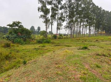 Terreno , Quadra · Excelentes terrenos de 1.000m² em Quadra-SP