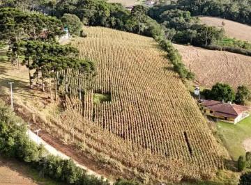 Foto 1 ·
Chácara no Caminho do Vinho