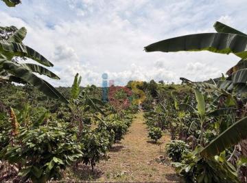 Rural · 460000m² · 8 Quartos · Vendo Fazenda Mista em Itajuípe