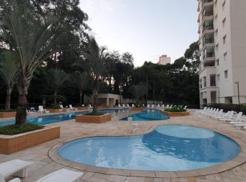 IMG_20260606_105401_000.jpeg · Sensacional apartamento para venda em Vila Amélia com 3 quartos, sendo 1 suíte, 81m² - camilapadula#