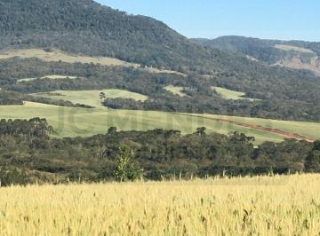 Rural · FAZENDA À VENDA EM TAMARANA – PARANÁ