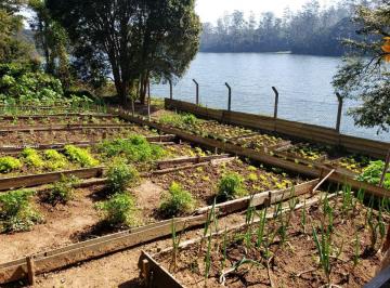 Rural · 22000m² · 2 Quartos · Fazenda / Sítio para venda em Tatetos de 22000.00m² com 2 Quartos