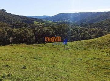 d5505ng2nthkyjg3yjcwnwi4_md · Propriedade, Terreno, Sítio 20 hectares em ótima localização em Rancho Queimado