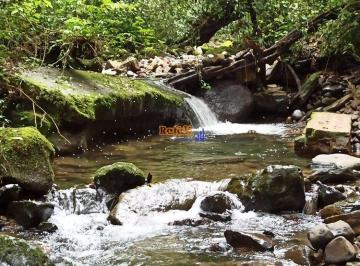 jievbfg2ntdkoddkodc2mzy2_md · Propriedade, Terreno Rural, Sítio com Rio,  Muita Natureza em Anitápolis- SC