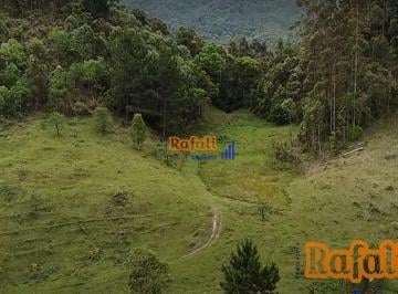 oyrl3og2ntdkodjimwfimty1_md · Venda Sítio com 100 mil metros, lugar Alto para Lazer ou investimento Anitápolis
