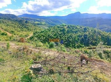 57cb7y2owrlmjawnzi5m2qy_md · Terreno 12, 5 hectares, na serra, terra de plantio, cabanas, Anitápolis