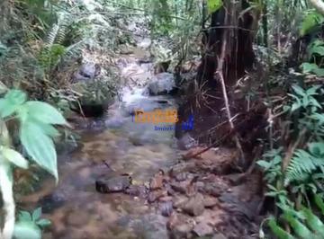 y9qk2ic2nthkyjnmmjqzm2zj_md · Venda 30 hectares próximo da cidade em Anitápolis