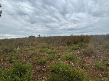 Rural · 170000m² · Rurais à venda - em Cruzília