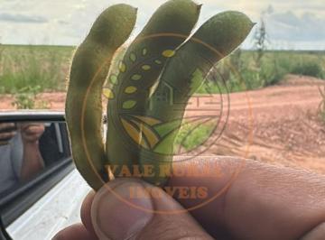 Imagem 1 · Fazenda