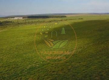 Imagem 1 · Fazenda