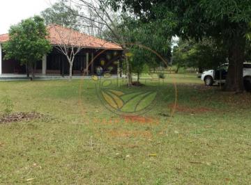 Imagem 1 · Fazenda