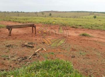 Imagem 1 · Fazenda