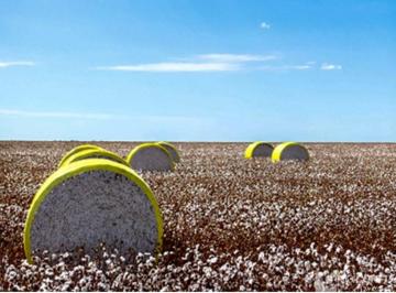 Imagem 1 · Fazenda