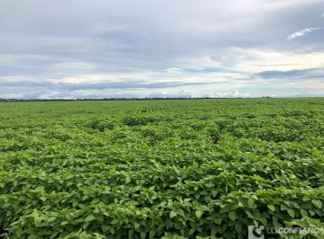 Imagem 1 · Fazenda