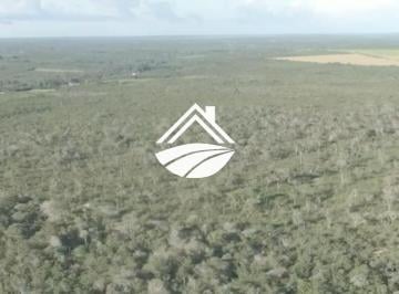 Imagem 1 · Fazenda