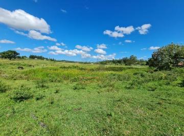 Imagem 1 · Fazenda