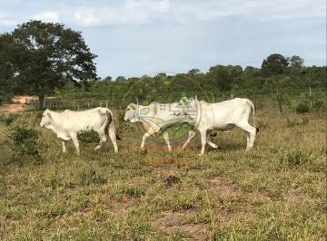 Imagem 1 · Fazenda