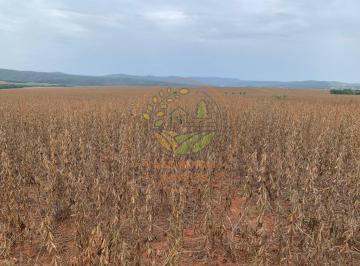 Imagem 1 · Fazenda