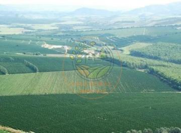 Imagem 1 · Fazenda para venda em Centro, Piumhi