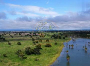 Imagem 1 · Fazenda