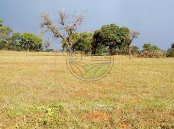 Imagem 1 · Fazenda