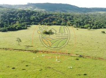 Imagem 1 · Fazenda
