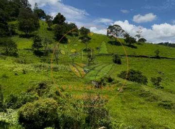 Imagem 1 · Haras e Área Rural Padrão
