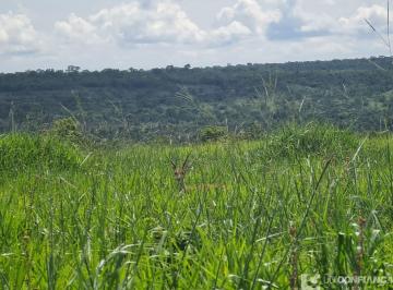 Imagem 1 · Fazenda