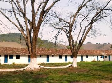 Imagem 1 · Fazenda