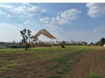 Rural , Quadra · Sitio com 2 alqueires em Quadra-SP
