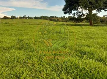 Imagem 1 · Fazenda