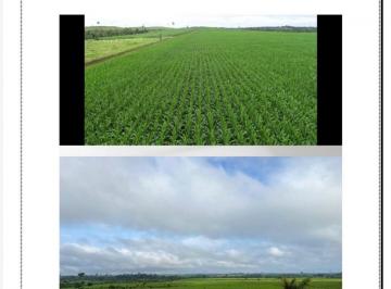 Imagem 1 · Fazenda