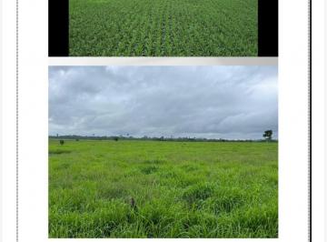 Imagem 1 · Fazenda