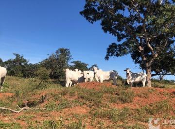 Imagem 1 · Fazenda