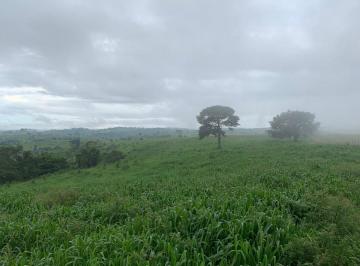Imagem 1 · Fazenda