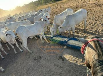 Imagem 1 · Fazenda