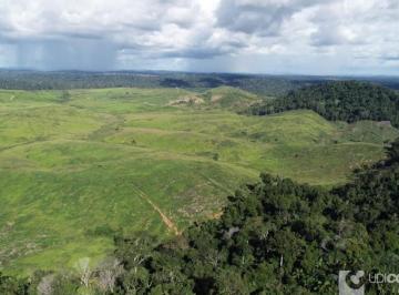 Imagem 1 · Fazenda