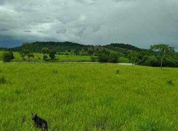 Imagem 1 · Fazenda