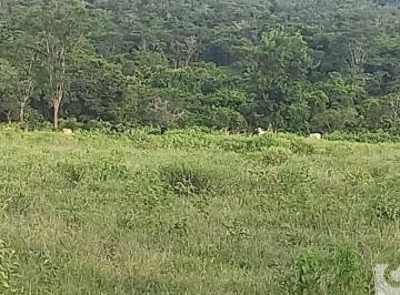 Imagem 1 · Fazenda
