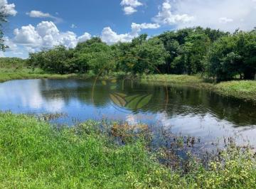 Imagem 1 · Fazenda