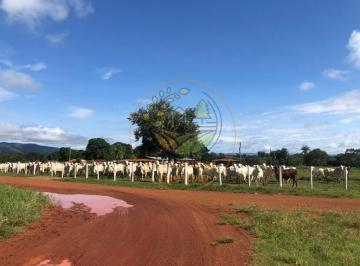 Imagem 1 · Fazenda