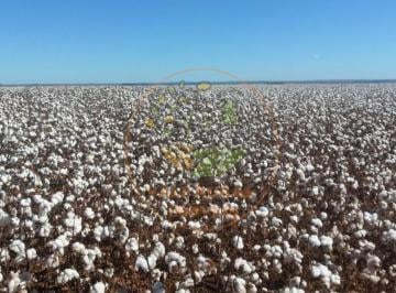 Imagem 1 · Fazenda