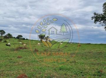Imagem 1 · Fazenda