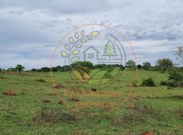 Imagem 1 · Fazenda