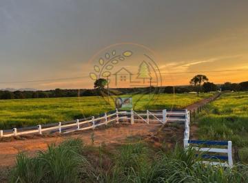 Imagem 1 · Fazenda