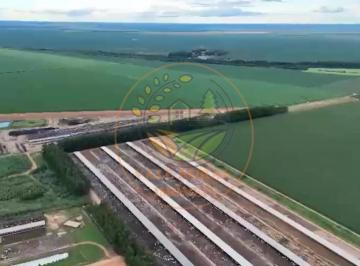 Imagem 1 · Fazenda para venda em Centro, Campo Verde
