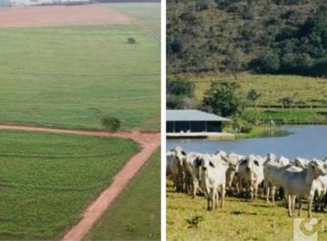 Imagem 1 · Fazenda