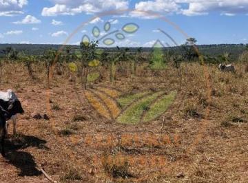 Imagem 1 · Fazenda